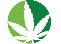 Logo des Methodensets, Cannabisblatt und Schriftzug "Der grüne Koffer" Methodenset Cannabisprävention
