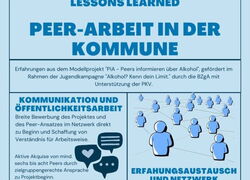 Grafische Darstellung der wichtigsten Projektergebnisse in einem Schaubild mit Symbolbildern