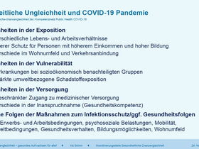 Aufzählung verschiedener Aspekte  zwischen gesundheitlicher Ungleichheit und COVID-19 Pandemie