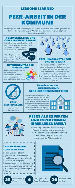 Grafische Darstellung der wichtigsten Projektergebnisse in einem Schaubild mit Symbolbildern