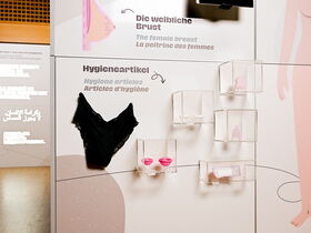 Ausstellungswand zum Thema sexuelle Gesundheit mit Nahaufnahme weiblicher Hygieneartikel